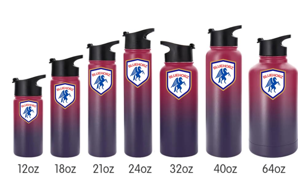 Iron Flask Stainless Steel Double Wall Vacuum insulated Gym