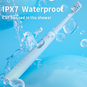 Rechargeable Electric Toothbrush