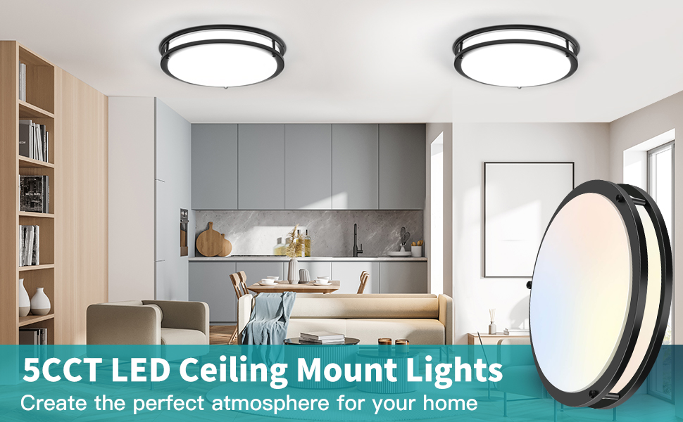 ceiling light