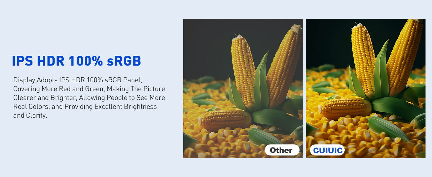 13.3" Touchscreen Monitor