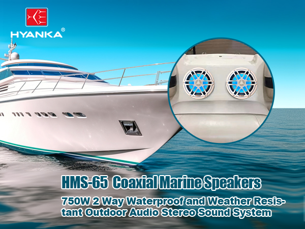 6.5 Marine Speakers