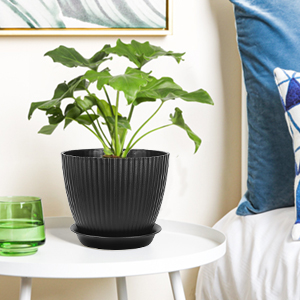 garden plant pots