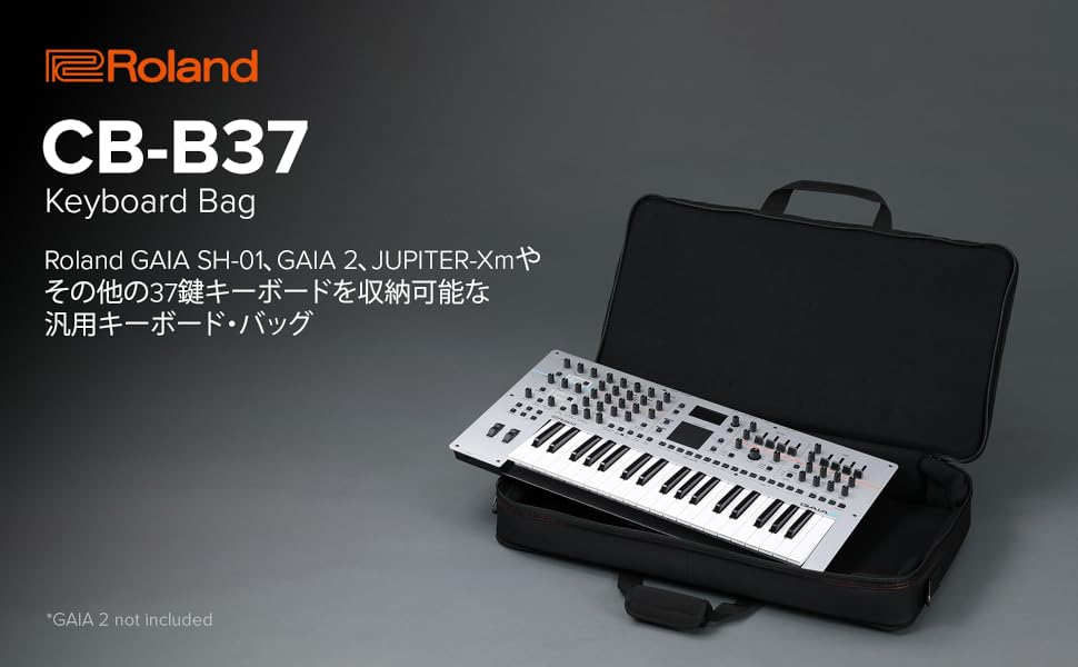 elektron Analog Keys Roland ケース付き CB-B37 Roland CB-B37 Keyboard Carry Bag | Bonners Music