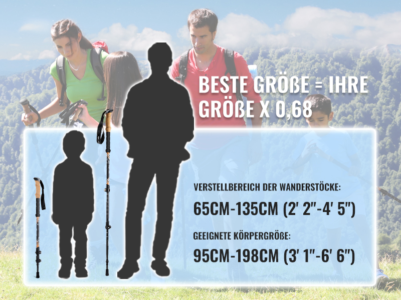 wanderstöcke carbon