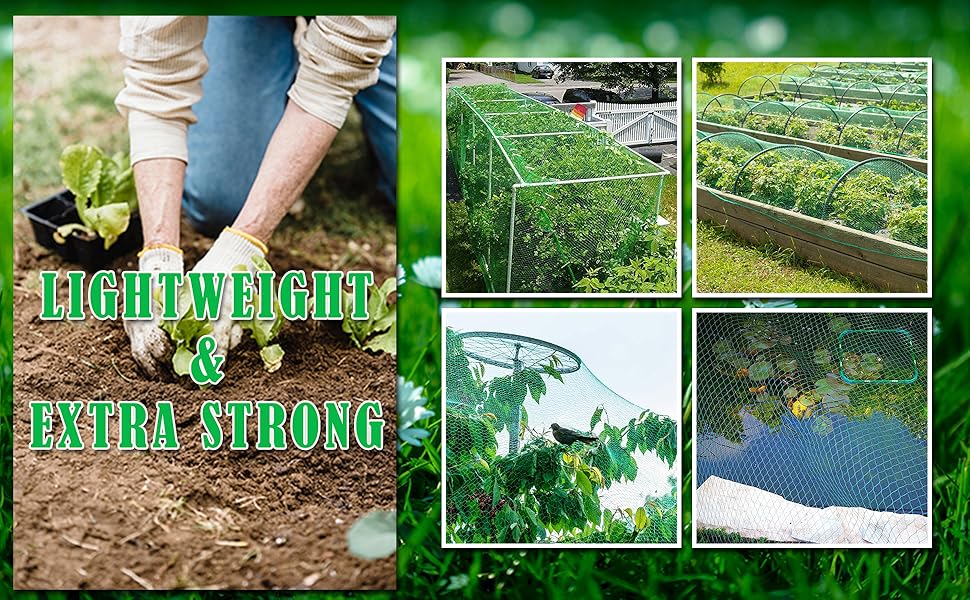 Garden Netting for Plants Fruit Veg Patch Grass Seeds, Anti Bird