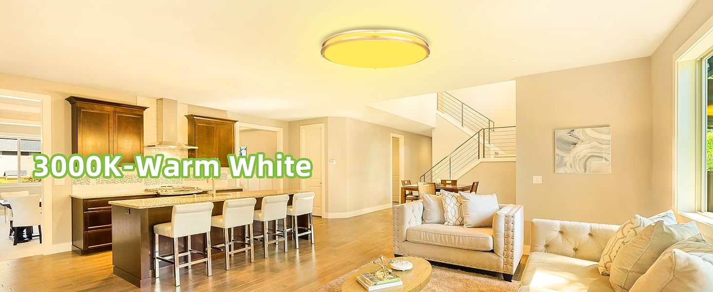 Flush Mount LED Ceiling Light Fixture