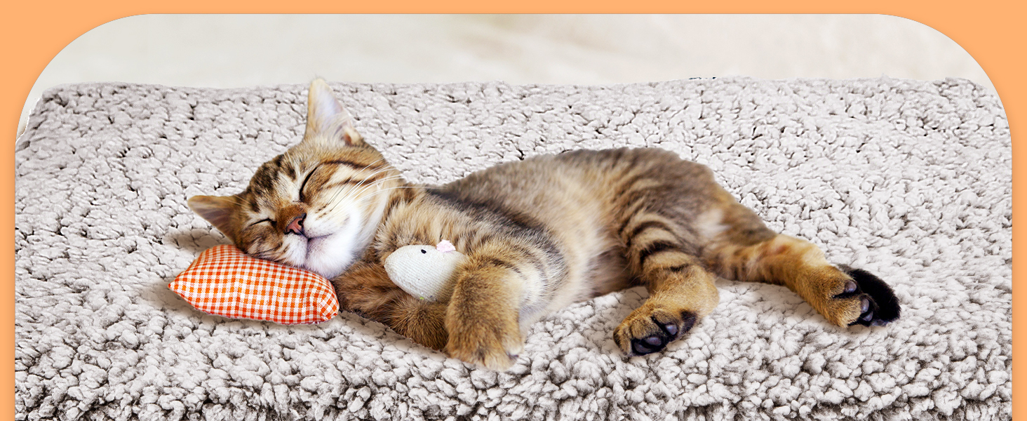 Nobleza cat crat pad for sleeping