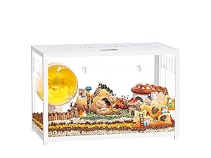 BUCATSTATE ブカスター 新版 700 ハムスター ケージ 大型 Amazon | BUCATSTATE 新版 700 ハムスター ケージ 最適化 全面