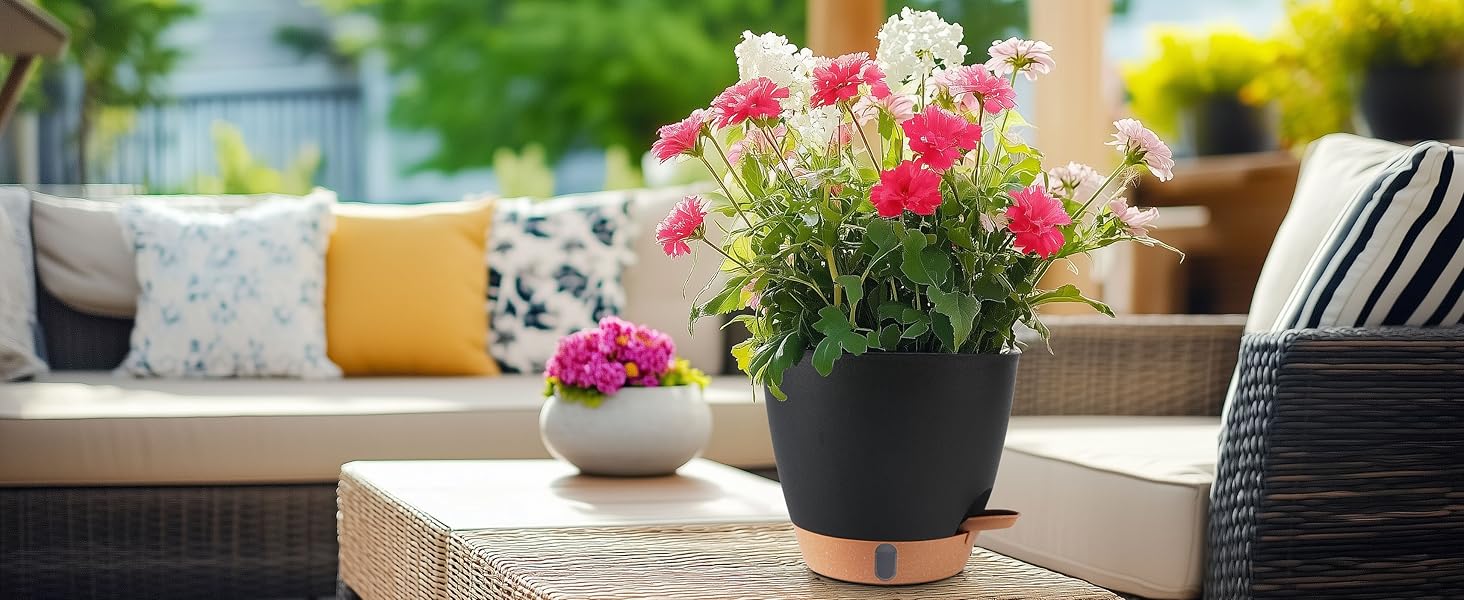 house plant pots