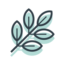 Icône ou logo stylisé en forme de feuille verte. Design simple avec cinq feuilles allongées disposées en éventail.