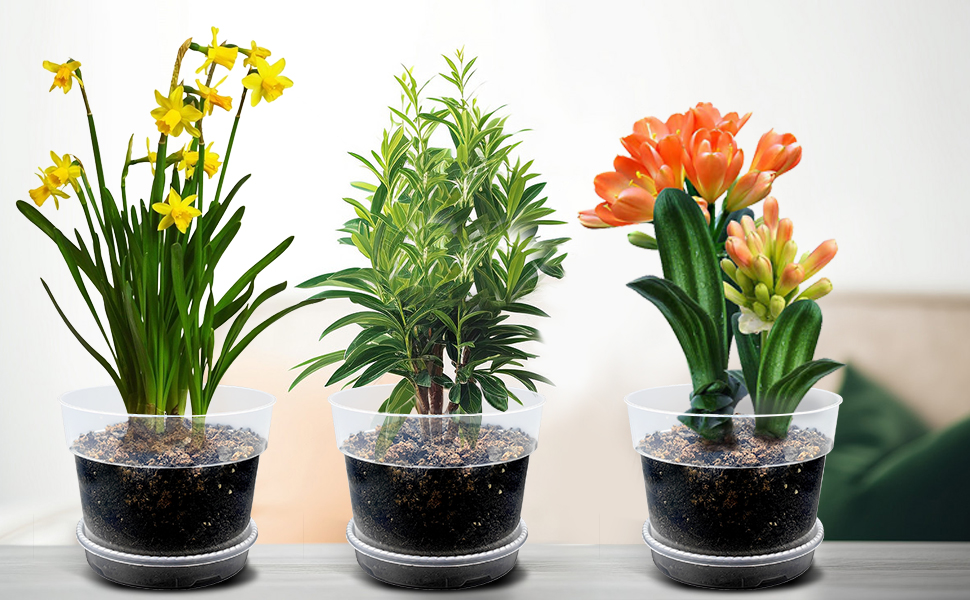 plastic planters for outdoor plants
