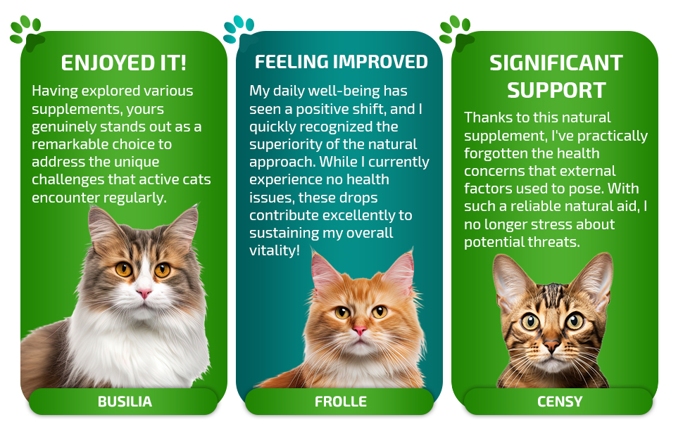 kidney restore, dog supplements, cat supplements & vitamins, kidney support supplement, pet products