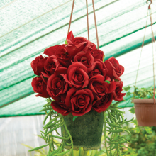 Small manufacture image 5