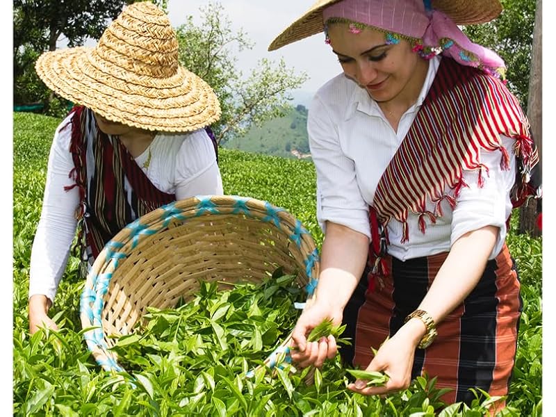 Large manufacture image 1