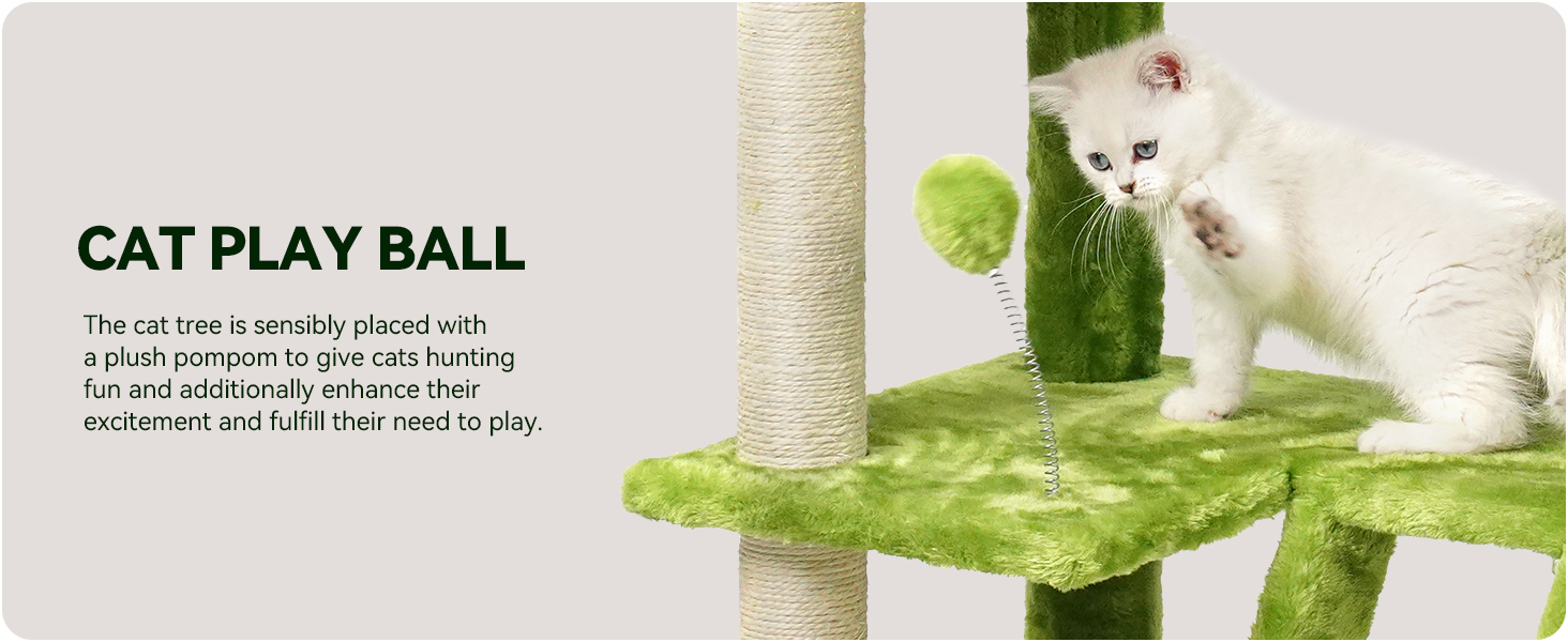 Cat Play Ball