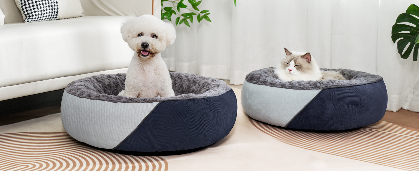 dog bed