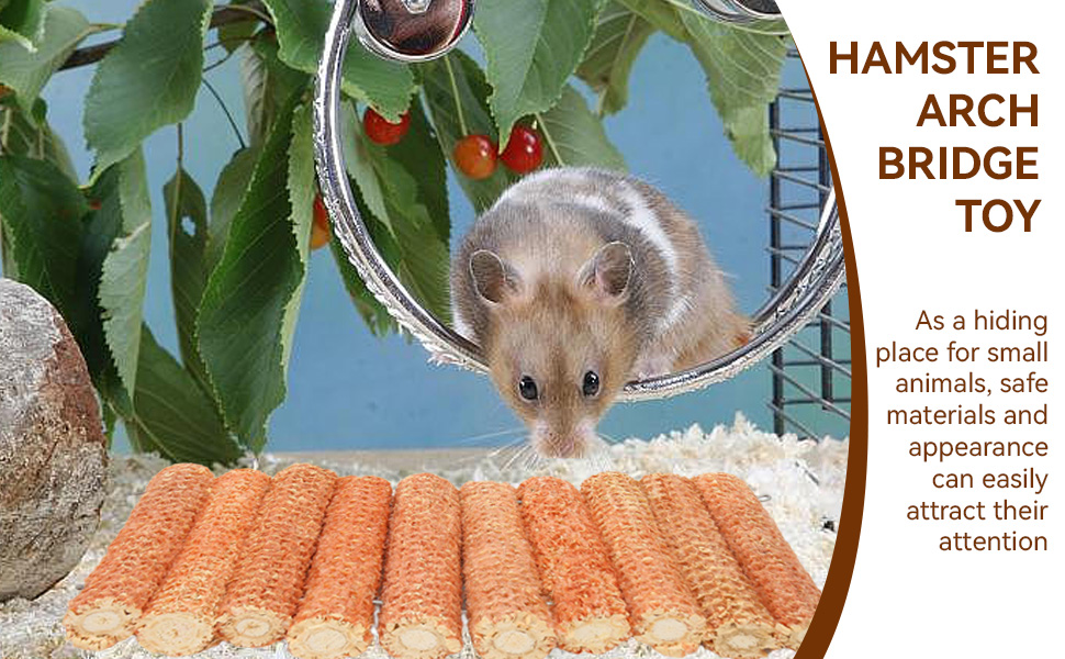 Parrot Corn Cob Chew Toys Bite Resistant Hanging Bird Chewing Cage Toy