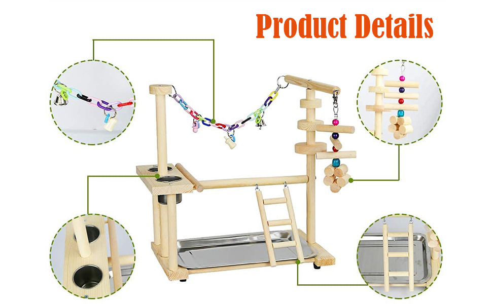 parrot stand