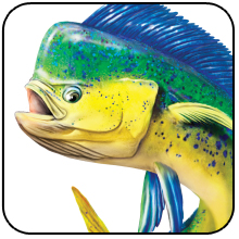 dolphinfish art, mahi fishing, deep sea fish, beautiful fish, hawaii fish