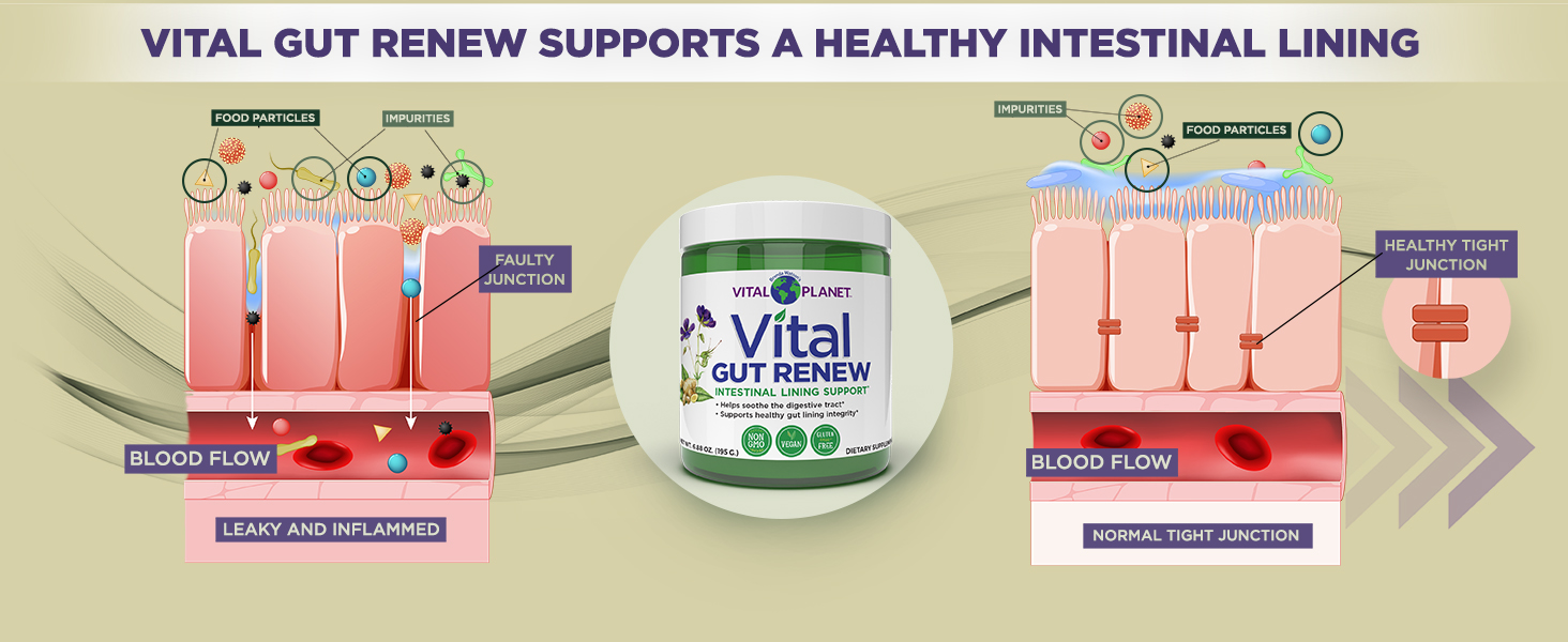 Vital Vital Gut Renew Powder Supplement for Leaky