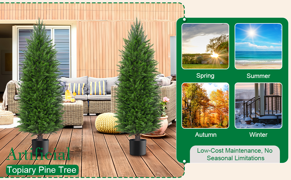 pine tree