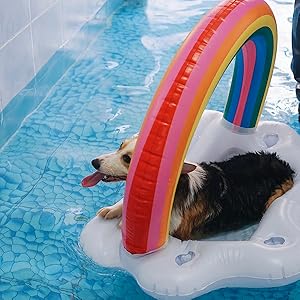DOG POOL TOY