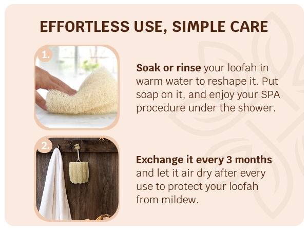 Loofah Sponge