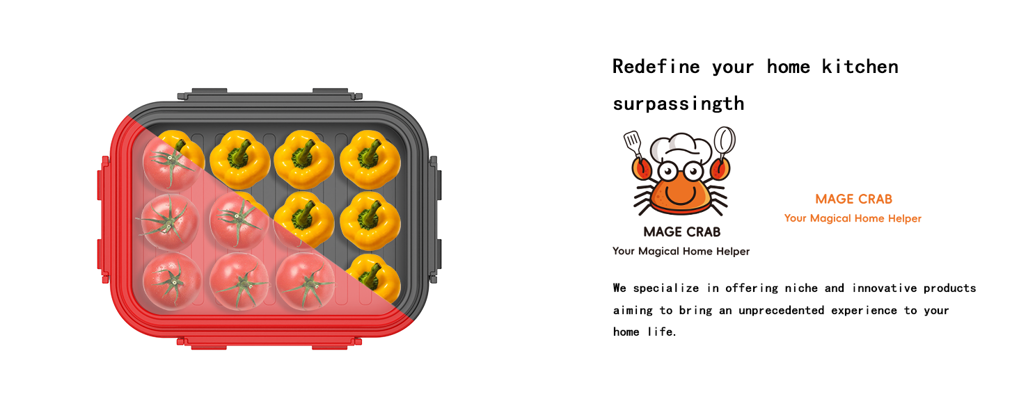sandwich containers