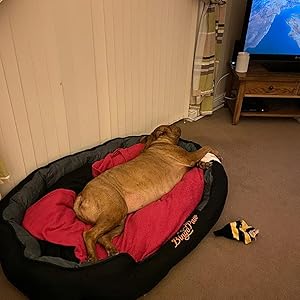 waterproof dog bed boslter dog bed xxl dog bed extra large dog bed heavy duty dog bed