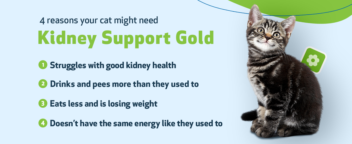 Pet Wellbeing Kidney Support Gold for Cats VetFormulated Supports