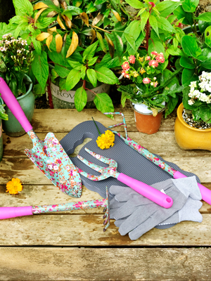 garden tool set