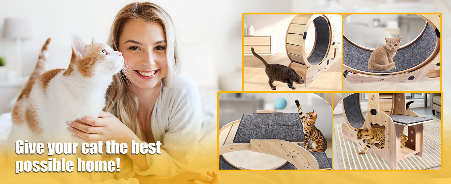 Cat Wheel, Cat Exercise Wheel