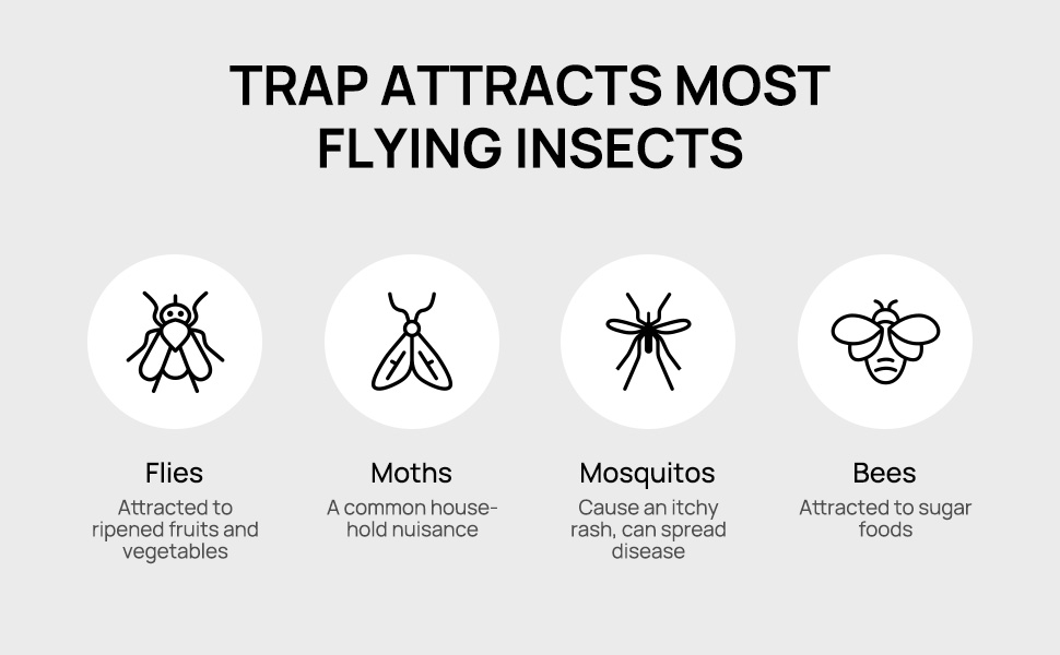 Meilen Fly Traps Refill Kit，Gnat Traps Refill Kit, Flying