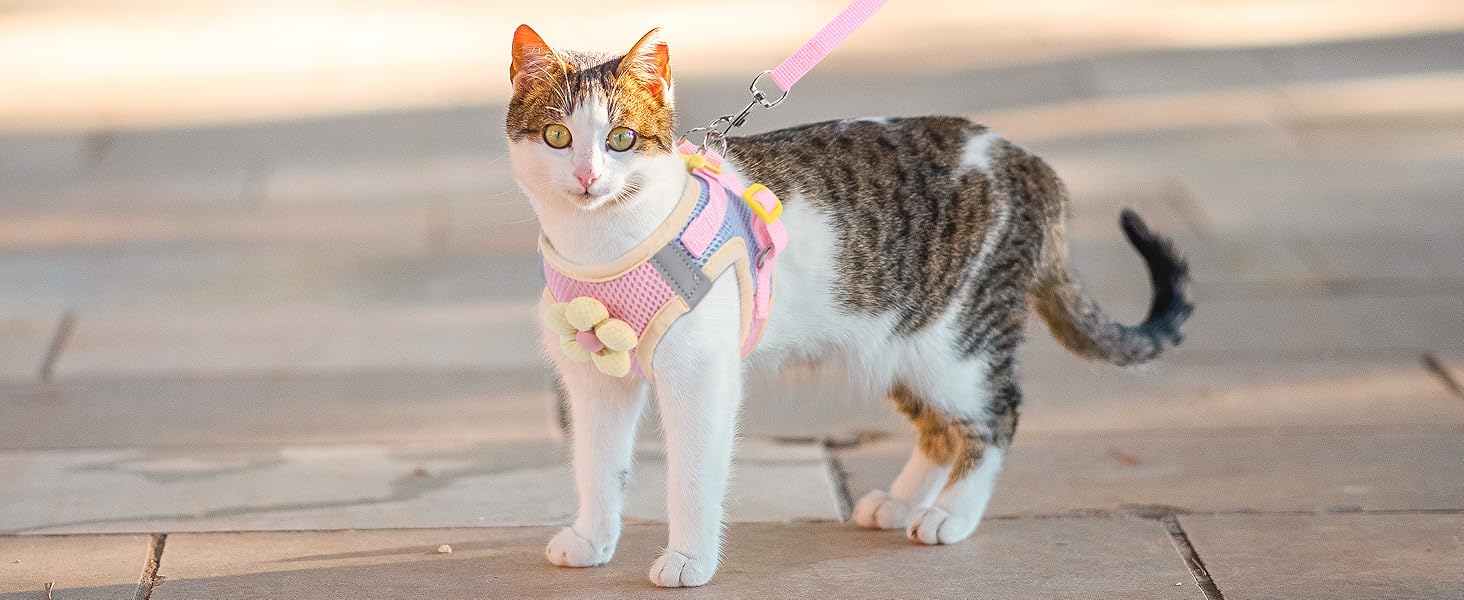 Cat Harness and Leash Set