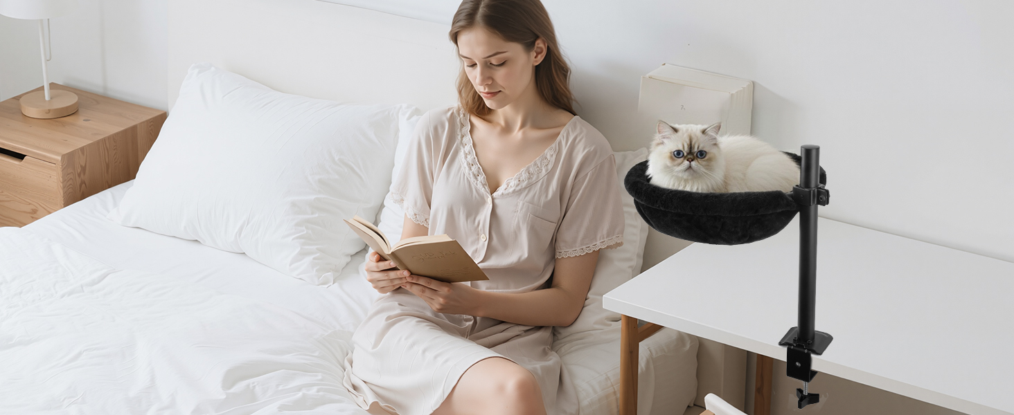 modern cat furniture