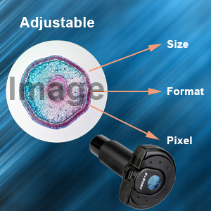 Small manufacture image 6