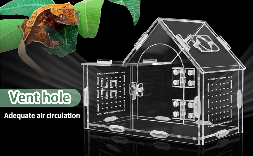 jumping spider spider terrarium jumping spider habitat tarantula cribs