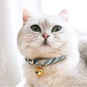 Hundehalsband mit Glöckchen