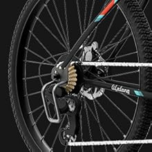 dual disc brake cycle