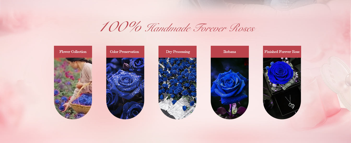 preserved rose