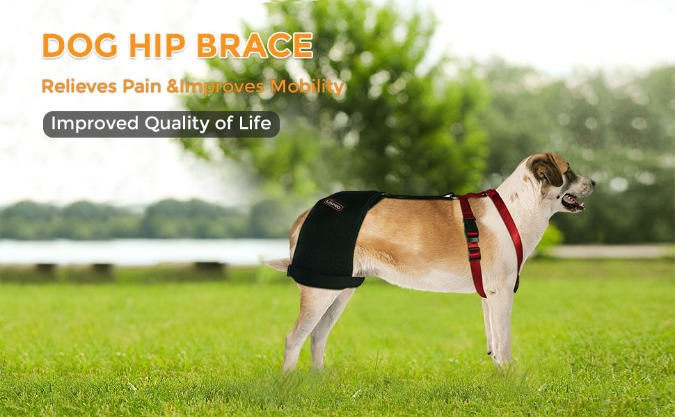 KERBIY LISPOO Dog Hip Brace Support for Hip Dysplasia