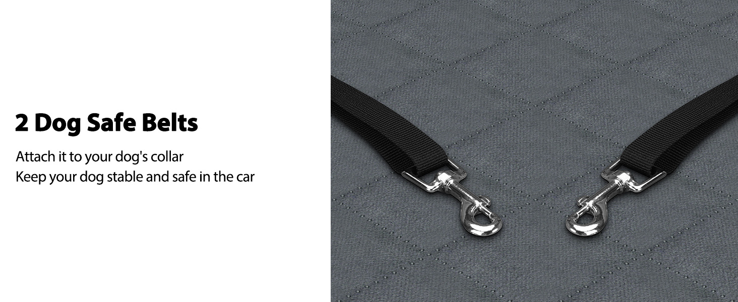 car seat for large dog