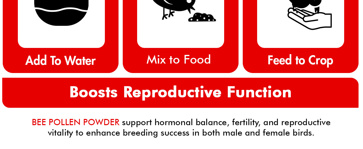 bird vitamins calcium for birds bird vitamins for water 