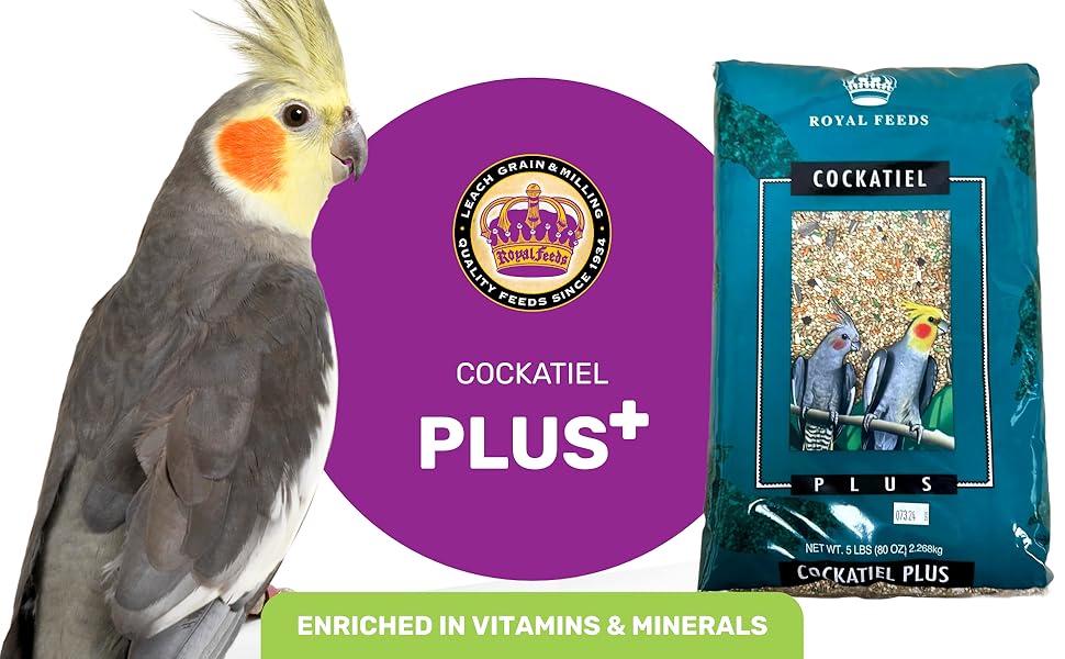 Cockatiel Plus Bird Seed, Mixed Safflower Seed