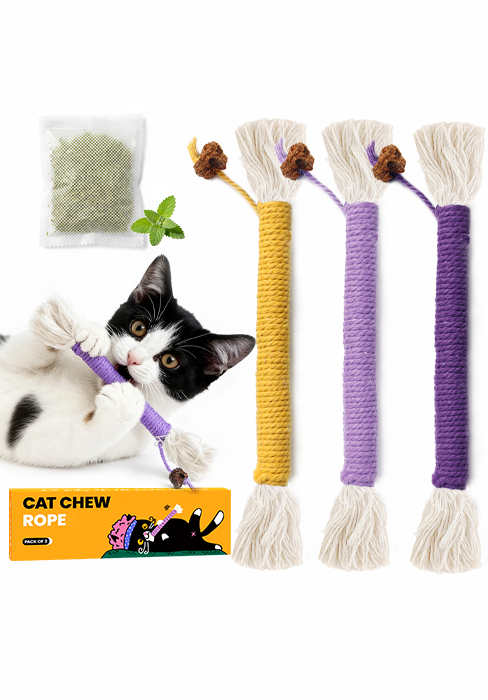 kitten chew toys
