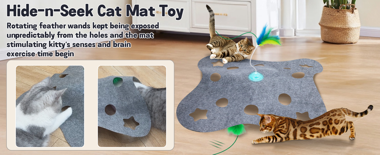 cat self play toys