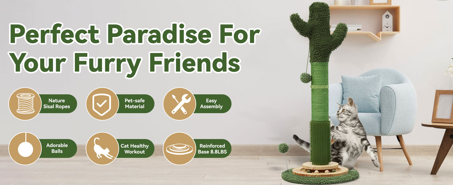 Cactus Scratcher Post