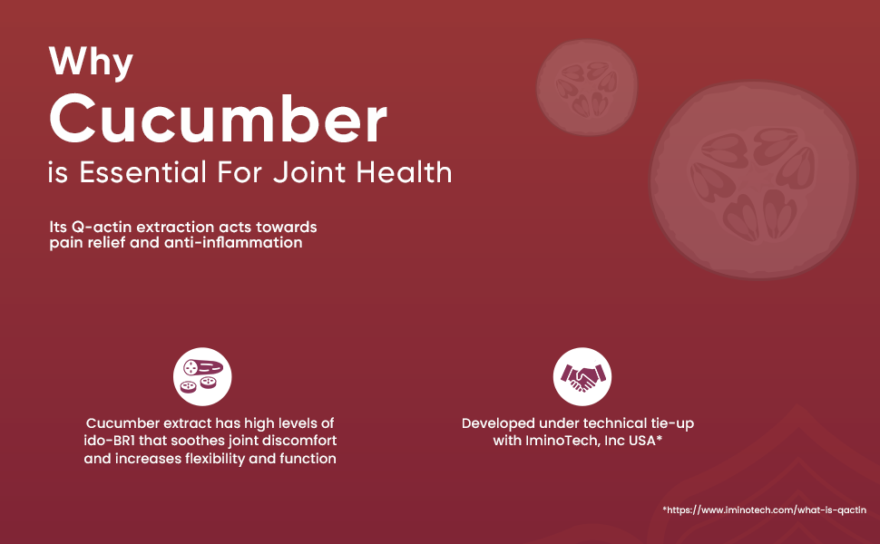 AGEasy (Max Group) Joint Care Comfort Curcumin Capsules, Helps Reduce