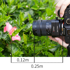 AstrHori 85mm F2.8 Macro レンズ SONY Eマウント Amazon.co.jp: AstrHori アストロリ 85mm F2.8 Macro 1:1 Tilt E