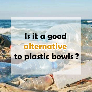 Plastic cereal bowls plastic bowls microwave and dishwasher safe oatmeal bowls breakfast bowls